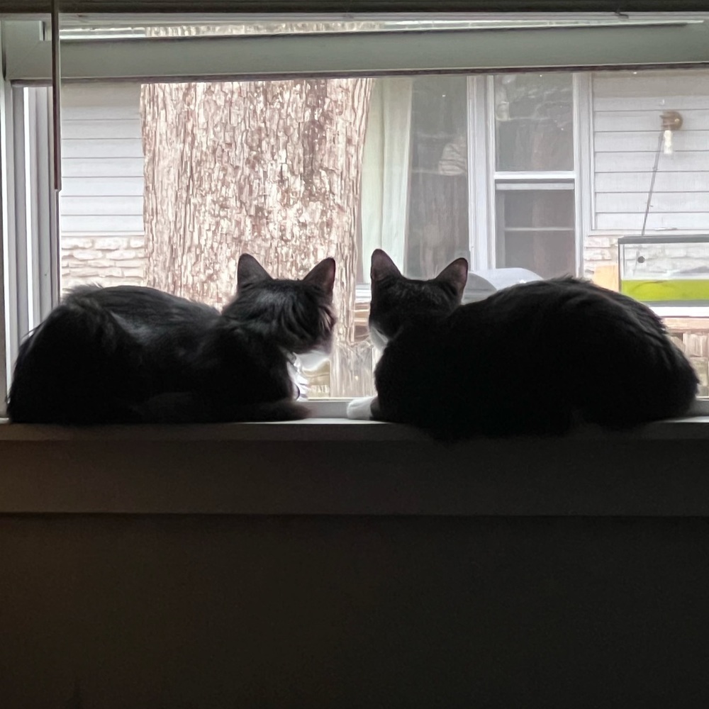 Meet your Posher, Kolbee